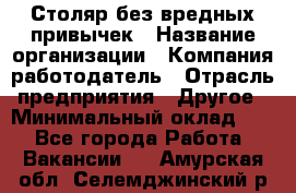 Столяр без вредных привычек › Название организации ­ Компания-работодатель › Отрасль предприятия ­ Другое › Минимальный оклад ­ 1 - Все города Работа » Вакансии   . Амурская обл.,Селемджинский р-н